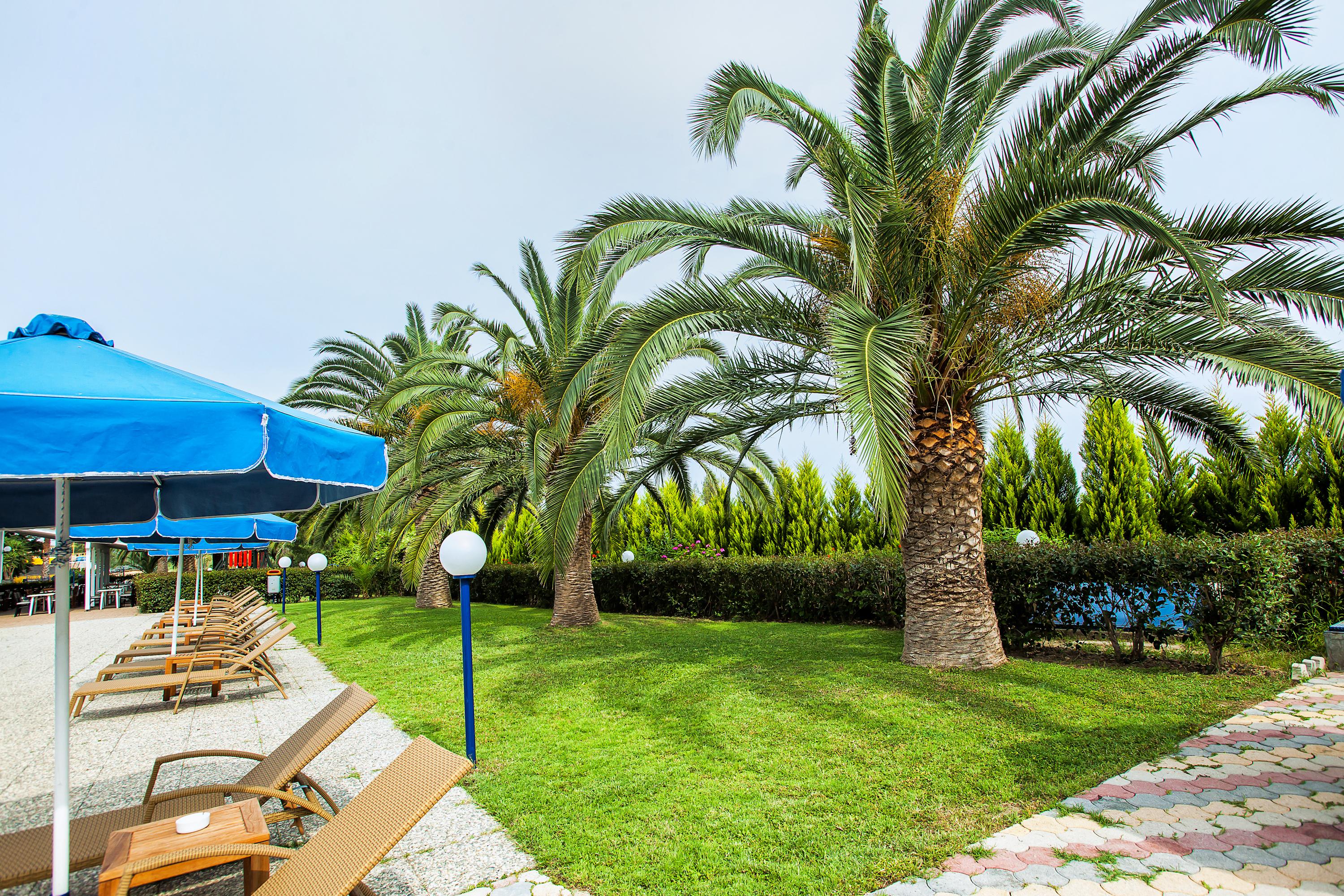 Xenios Port Marina Hotel Pefkochori Dış mekan fotoğraf